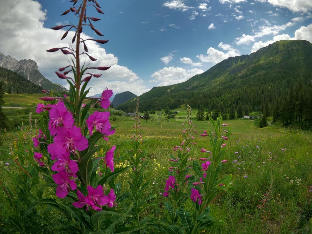 L'Etesy, Pied Des Pistes Et Spa Montgenèvre Екстериор снимка